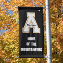 Flag in fall leaves at App State