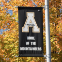 Flag in fall leaves at App State 